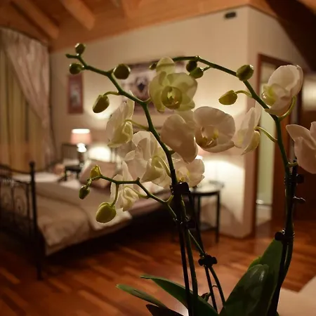 Chalet Caprea Bad Kleinkirchheim