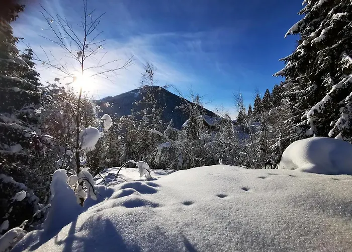 Caprea Chalet Bad Kleinkirchheim