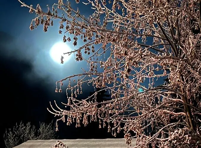 Chalet Caprea Bad Kleinkirchheim