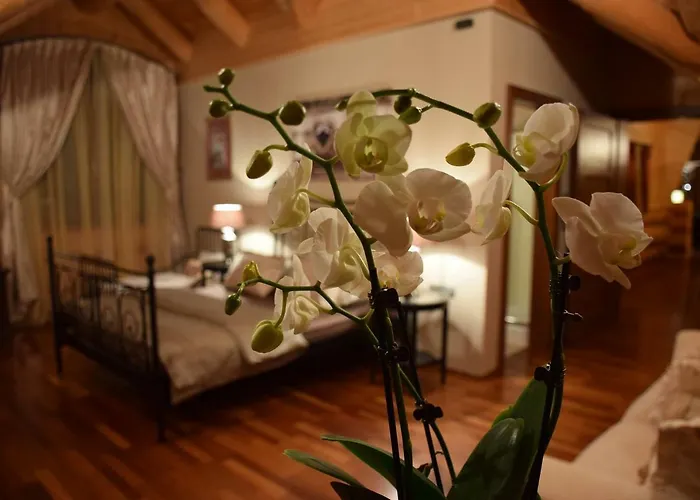 Chalet Caprea Bad Kleinkirchheim